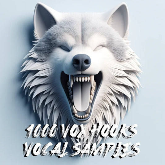 1000 Vox Hooks Vocal Sample Pack