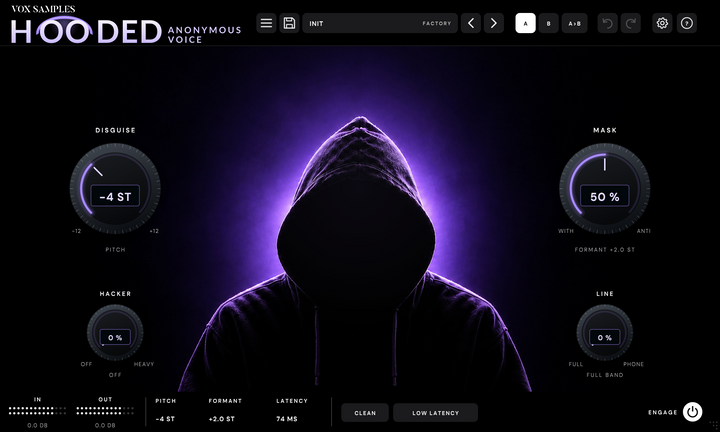 Hooded Anonymous Voice: the plug-in's window at its default settings
