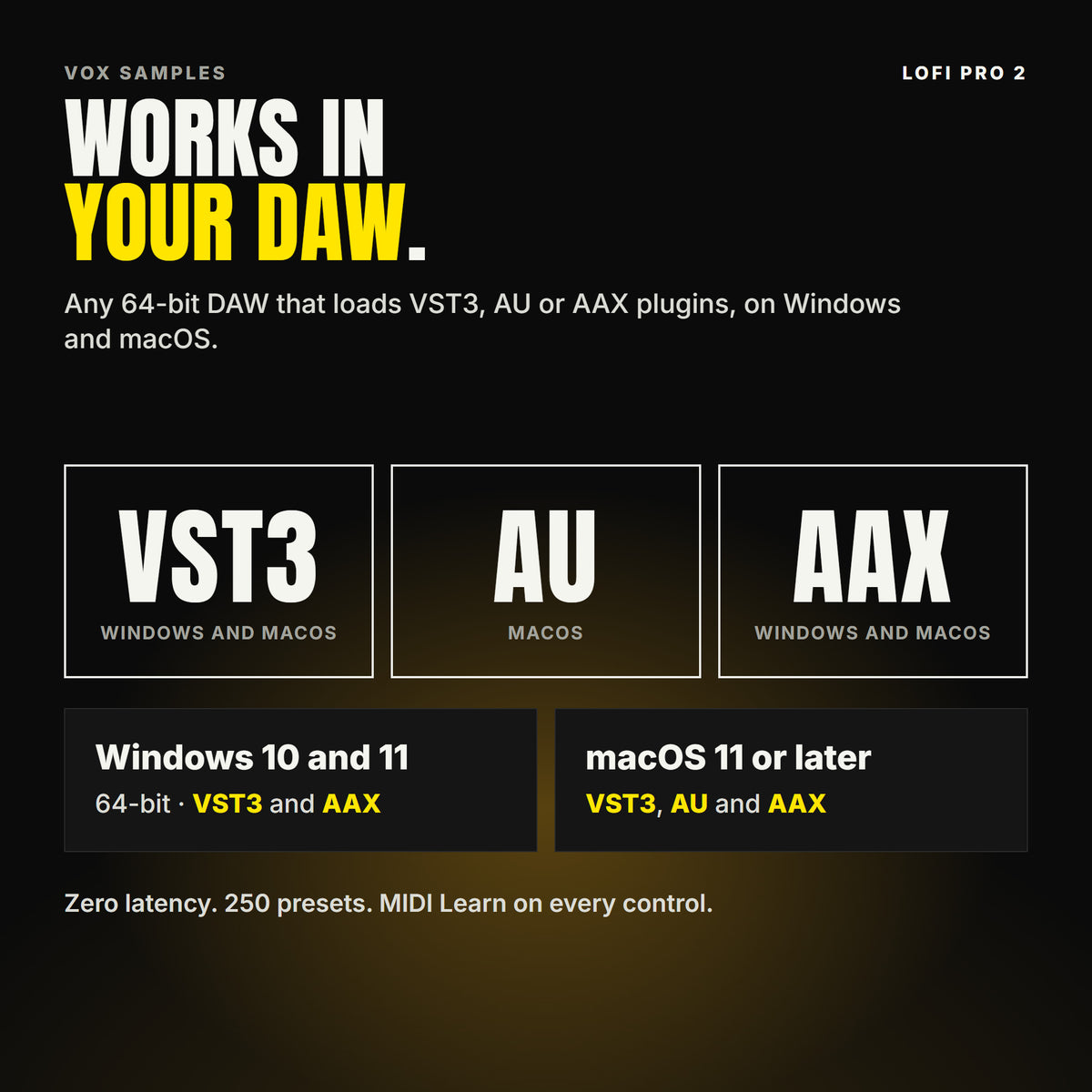 LoFi Pro 2 formats: VST3, AU and AAX. Windows 10 and 11, 64-bit: VST3 and AAX. macOS 11 or later: VST3, AU and AAX. Works in any 64-bit DAW that loads VST3, AU or AAX plugins, with zero latency.