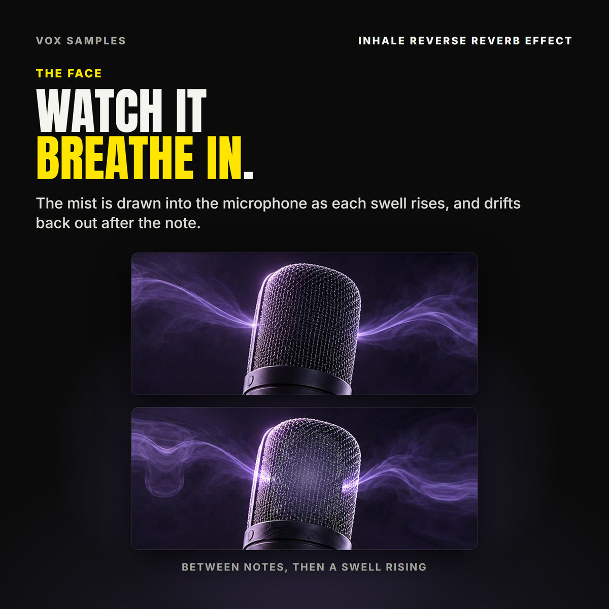 The microphone at the centre of Inhale's window twice: between notes, the lilac mist drifted out and the mesh head dark; as a swell rises, the mist drawn in to the head and the head glowing lilac.