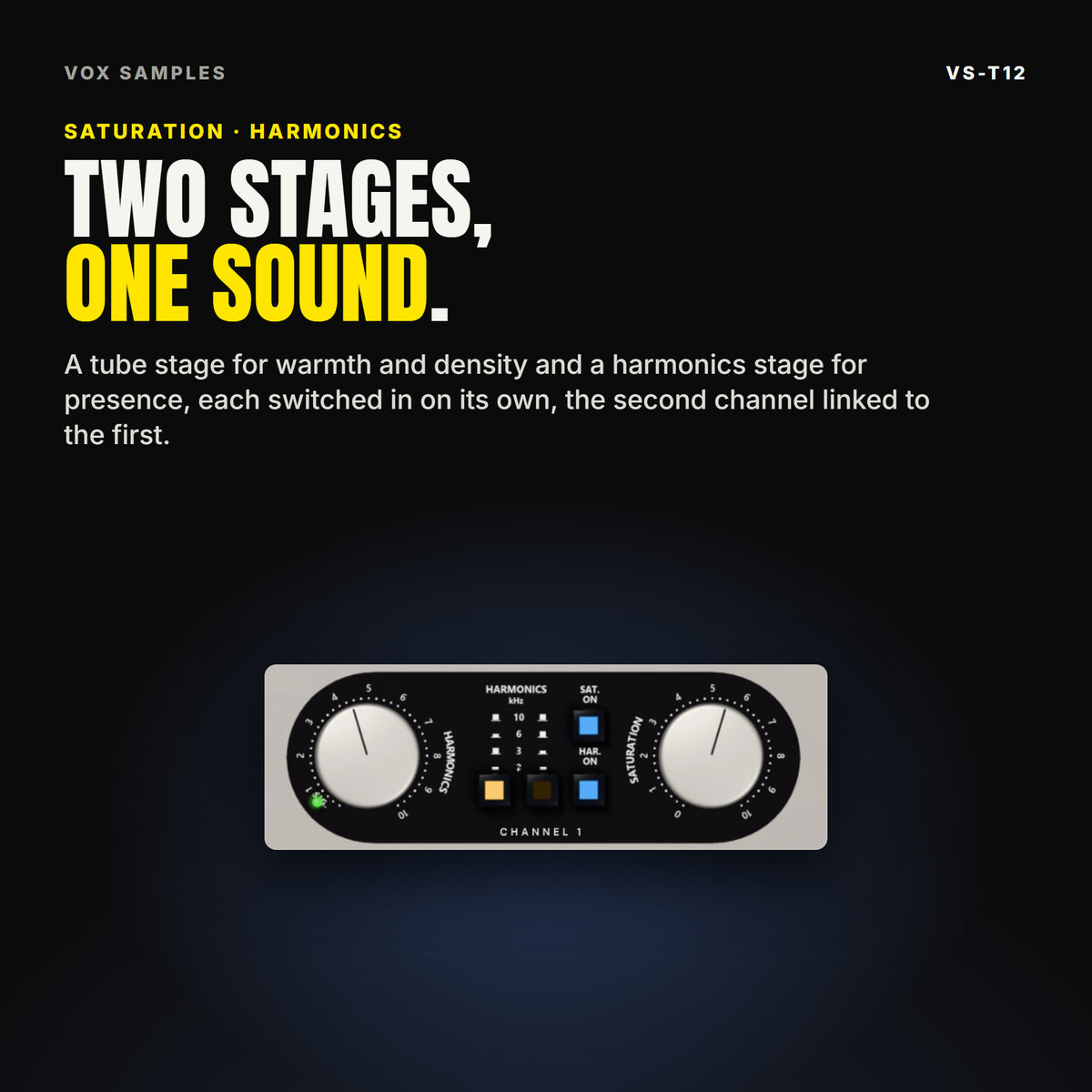 Close-up of one VS-T12 section: the SATURATION and HARMONICS knobs scaled 0 to 10, the harmonics frequency keys 2, 3, 6 and 10 kHz and the SAT. ON and HAR. ON keys, under the line "Two stages, one sound".