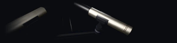 Pitch Suite Pro, WIDTH: two silver pencil microphones on a stereo bar, splayed apart