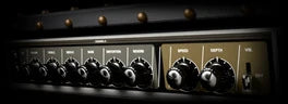 Reverse King 3, CHORUS: the control panel of a two-speaker combo amplifier