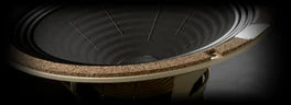 Reverse King 3, DISTORTION: close on a guitar speaker’s cone
